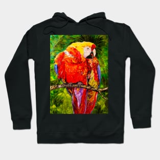 Parrot with coffee bean Hoodie